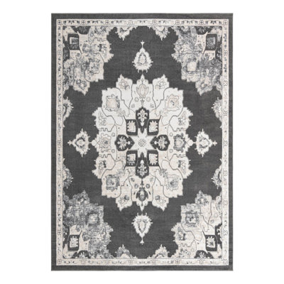 Oriental Indoor Rug