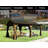 Cedar Wood Gazebo 12'X20'