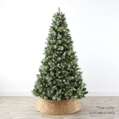 Lighted Pine Christmas Tree