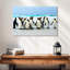 Crowle Penguins aux îles Falkland-111984386