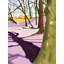 Hill With Crocus Print by Evan Sklar-65826025-65851557