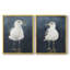 «Night Gull I», reproduction encadrée de qualité supérieure - prête à être accrochée - aucun clou requis - aucun clou requis-896682727-896682720