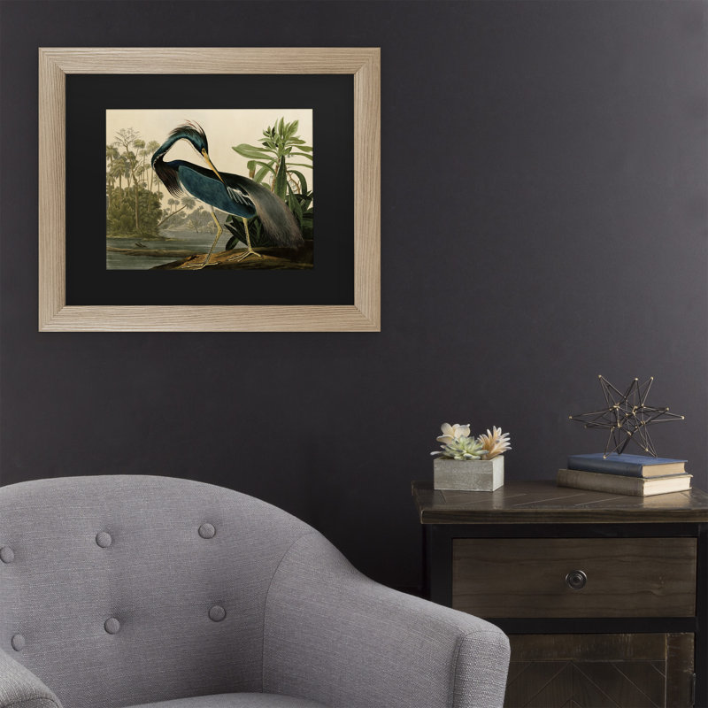 «Johniana Audubon» par John James Audubon, H 16 po x l 20 po x P 0,5 po, Cadre argenté