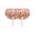 Rose est en rupture de stock