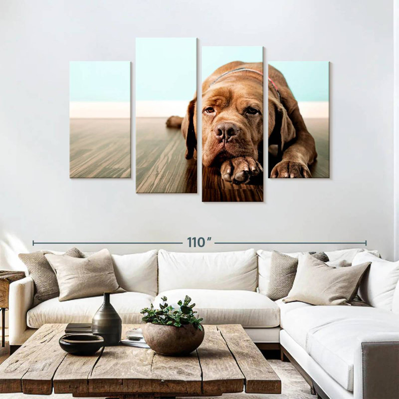 Dogue français Brampt s'ennuie, H 54 po x l 84 po