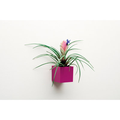 Metal Bracket Plant Stand