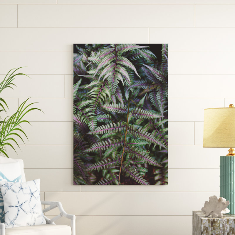 Funky Ferns I, H 48 po x l 32 po x P 1,25 po