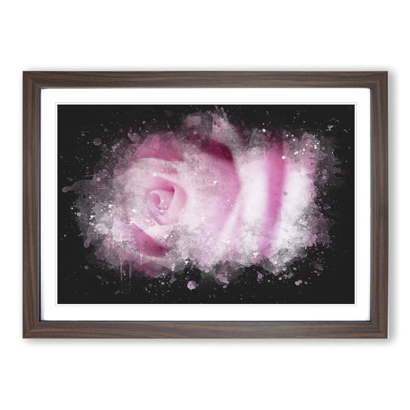 Pink Rose Flower Vol.1 - Picture Frame Graphic Art, 48cm H x 65cm W x 2cm D, Walnut Framed