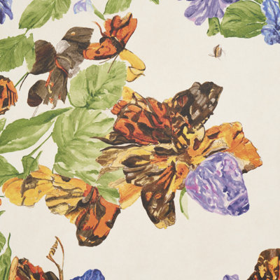 Pyne Butterfly Wallpaper