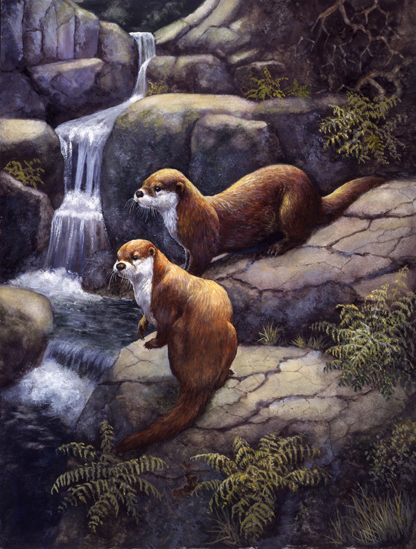«Otters by the Waterfall» par Daphne Baxter Garden Flag, H 28 po x l 40 po