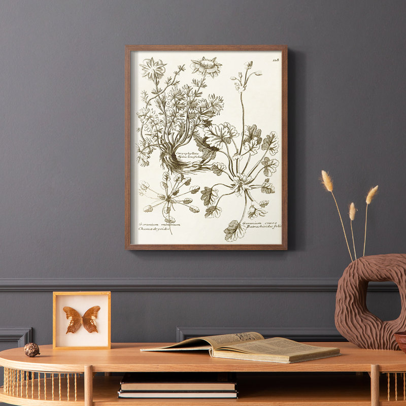 «Sepia Botanical Journal», reproduction encadrée en bois massif, Brun, H 20 po x l 16 po