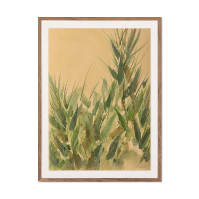 Nature No. 15 By Valeria Sidañez