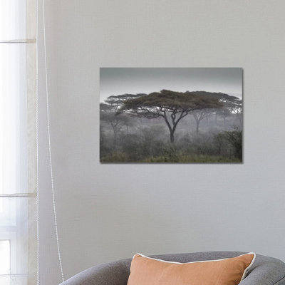 Africa, Tanzania, Ngorongoro Conservation Area. Rain And Trees On Savannah by Jaynes Gallery - Wrapped Canvas Print