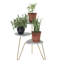 Montegue Plant Stand-767515770
