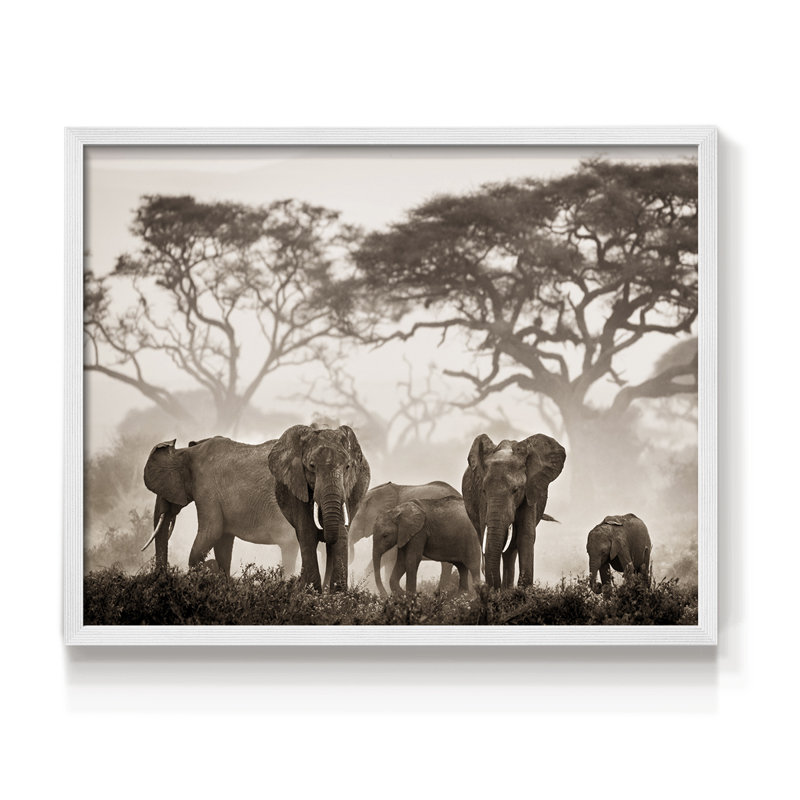 Parc national Amboseli - reproduction encadrée - réarmable, H 22 po x l 28 po, Blanc