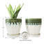 6.2"D x 6.1"W x 6.1"H Ceramic Planter Set of 2 (Green+White) - Indoor-Outdoor
