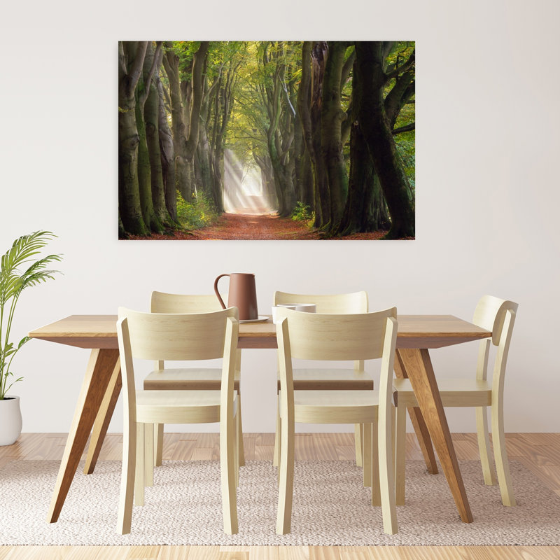 «Sunlit Forest Path Ethereal Peaceful Serene Autumn Forest», reproduction d'art murale, H 32 po x l 48 po
