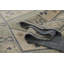 Bristol Oriental Area Rug-2118005561
