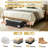 Under Bed Storage With Wheels, 2-Pack 10" Height XXL 60L Rolling Storage Bins, Quick Assembly Underbed Shoe Storage Containers With Clear Lid & Label, Dorm Under Bed Drawers For Clothes, Shoes