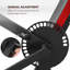 Preacher Curl Bench