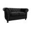 Burks 2 Seater Velvet Loveseat-1562482213
