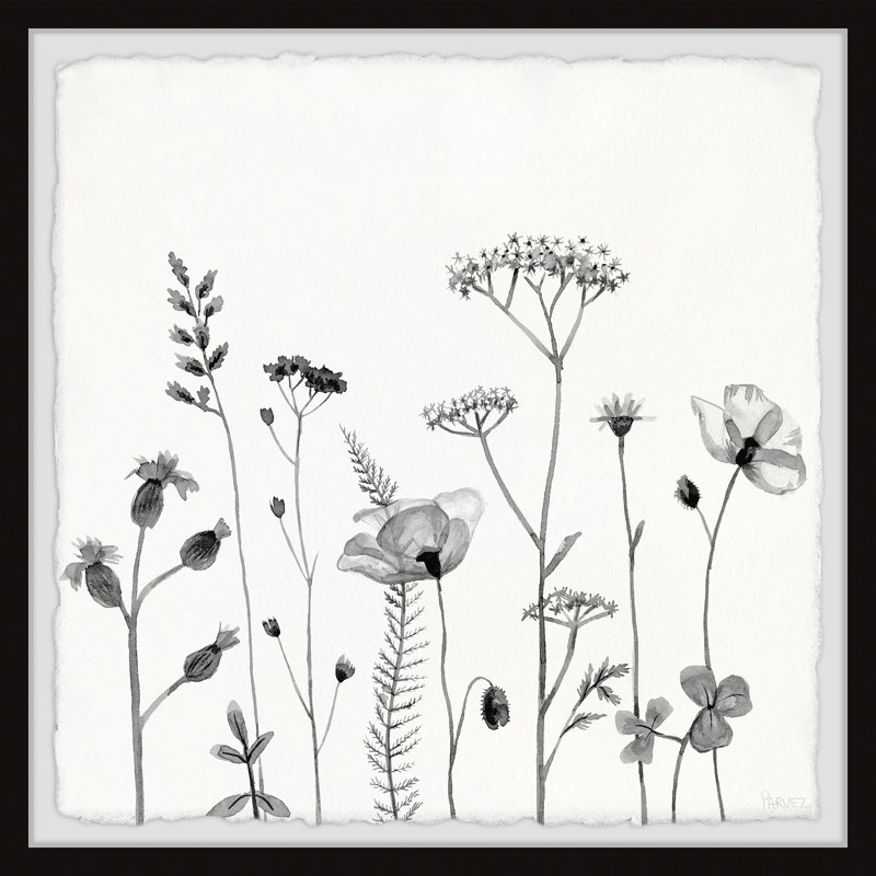 All About Poppies by Parvez Taj - 1 Piece Single Picture Frame Painting, 30cm H x 30cm W