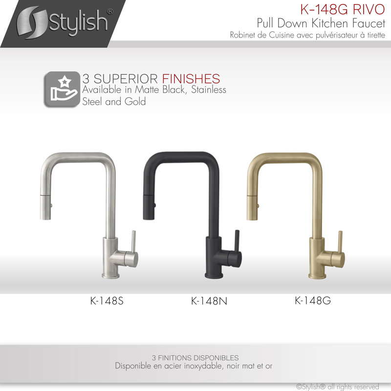 Modern Faucet Stylish Rivo One-Handle Pull Down Kitchen Faucet, Brushed Gold