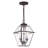Amiree Outdoor Hanging Lantern-134775975-134775976