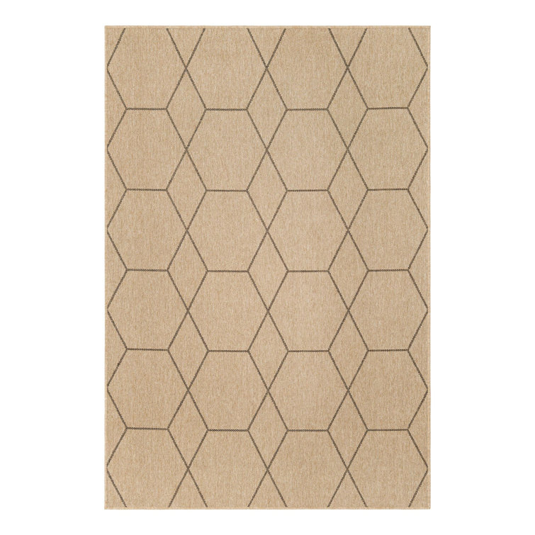 Geometric Indoor Rug