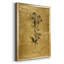 Ameelya " Gold Sketch Botanical II "-1749385590-1749385585