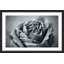 Judy Stalus - Single Picture Frame Print-20708691