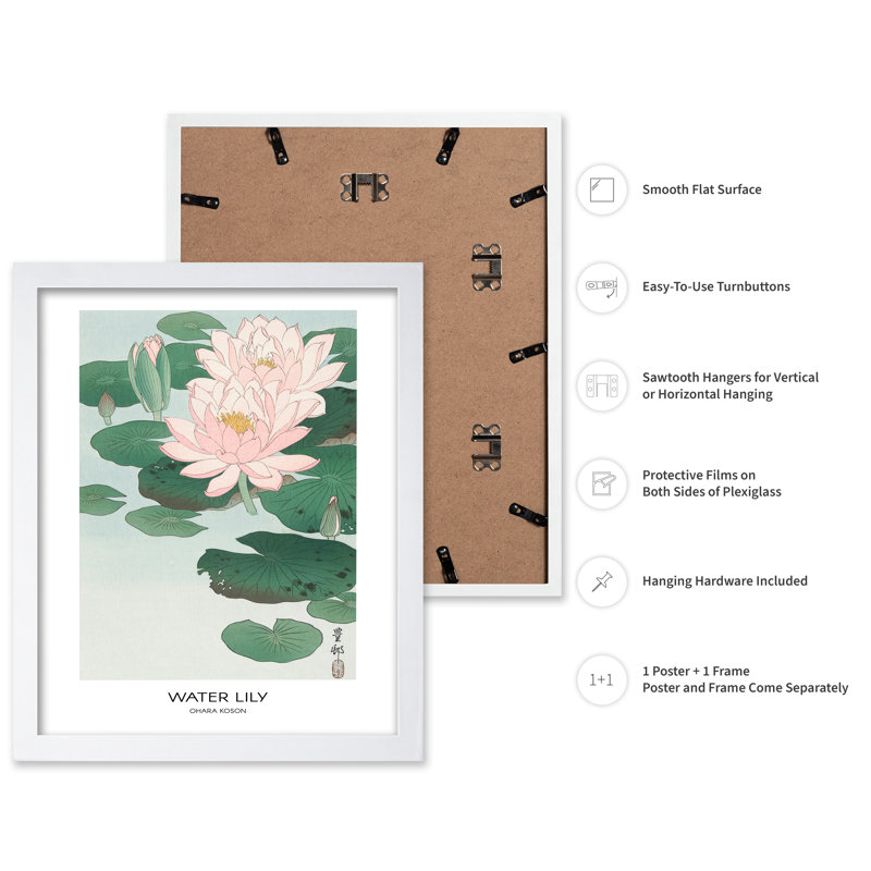 Ohara Koson - Nénuphar n ° 1, Poster, White Framed, 08"H x 10"W