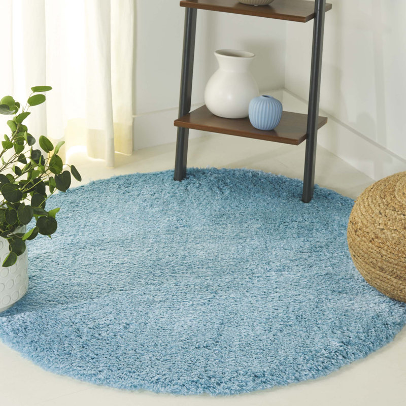 Jaydn Indie Shag Performance Solid Color Rug, Round 4'