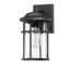 Schlesinger Seeded Glass Outdoor Wall Light-906983241