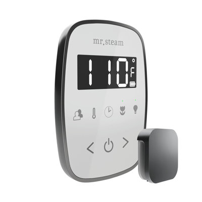 TempoFlex Steam Shower Control and Steamhead 