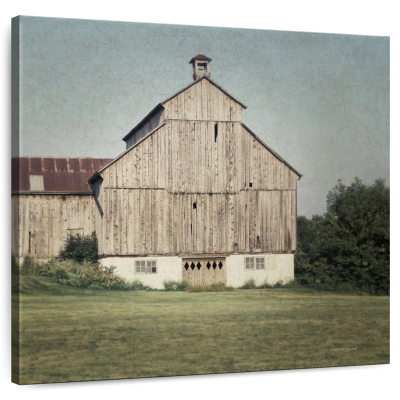 Lilie Neutral Country I