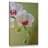 " Delicate Orchid " by Kathy Yates-22340521