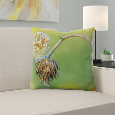 Coussin décoratif papillon