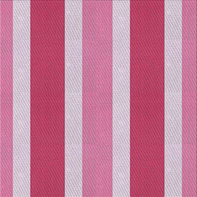 Striped Indoor Rug