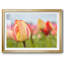 Spring Sherbet, impression sur papier encadrée-582037538-582037542