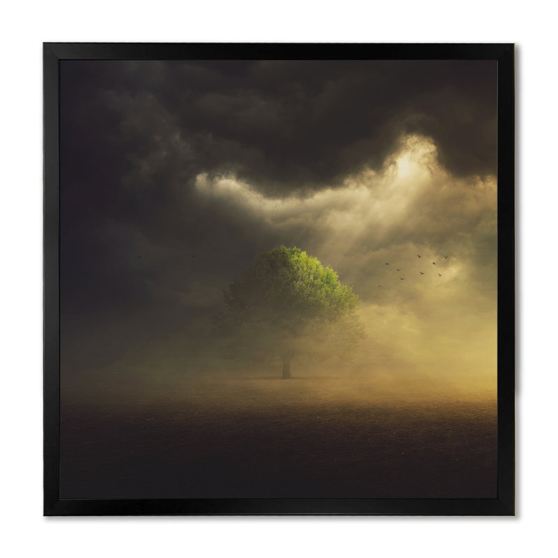 " Single Tree In Field " Painting Print, 16" H x 16" W x 1" D, Black Picture Framed Canvas