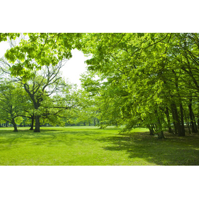 Leaver Sunny Park par Wat