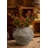 Rustic Ceramic Vase With 2 Handles-1013829675