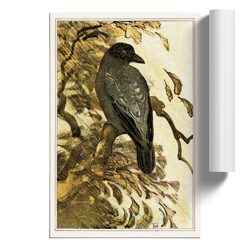 Hooded Crow by Theo van Hoytema - Frameless Print, 59cm H x 42cm W x 0.1cm D
