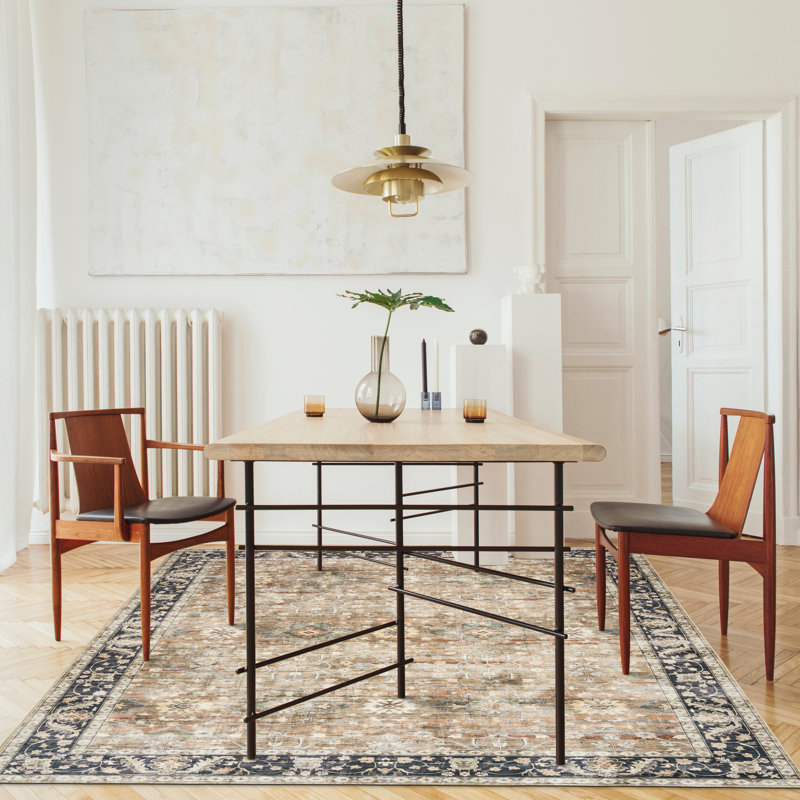 Nainika Bev Distressed Machine Washable Area Rug, Rectangle 4' x 6', Beige Tan Brown