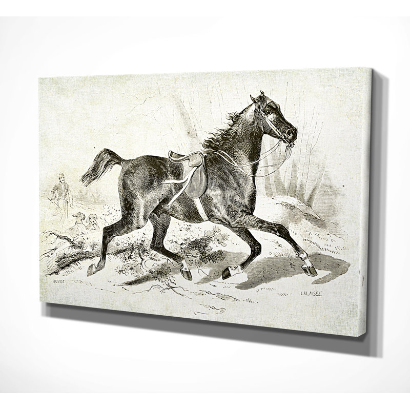 « équin sketch viii », reproduction, H 18 po x l 27 po x P 1,5 po, Pas de tapis, Toile tendue