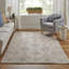 Wendover Transitional Oriental, Beige/Gray Area Rug-917887260