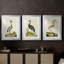 Heron Portrait I - Impression personnalisée de qualité supérieure avec passe-partout - 3 pièces-490649560-490649563