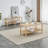 Coffee Table & TV Table Sets