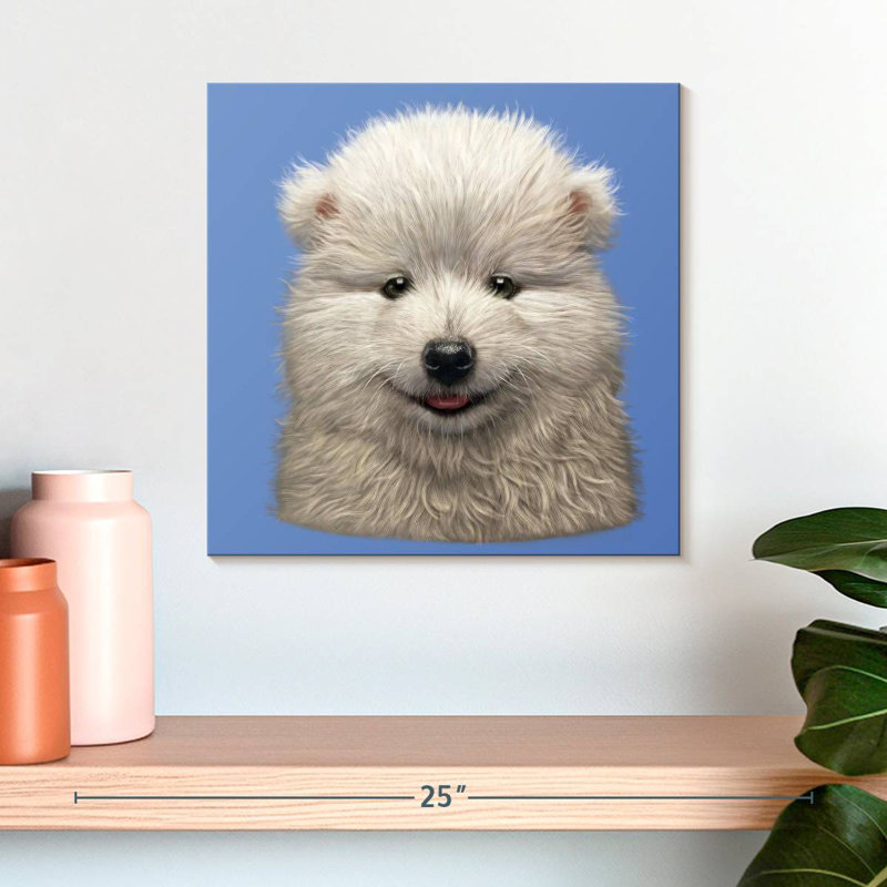 Chiot Brampt Samoyède, H 16 po x l 16 po